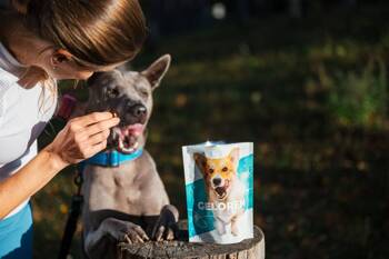 Geloren Small Dog 180g - Mieszanka uzupełniająca, żelki dla psów na stawy