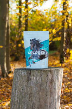 Geloren Horse HA 450g - Supplementary mixture, gels for horses for joints