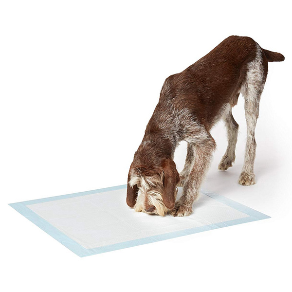 Absorbent Hygiene Pads for Pets XL 90x60 (100 pcs)