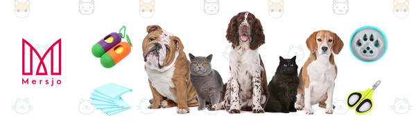 Cat Interactive toy "Mouse Hunt"