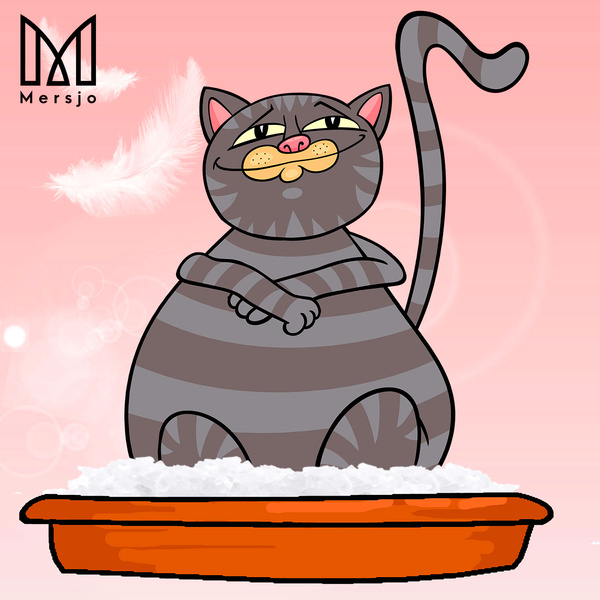 Mersjo Sensitive silicone cat litter 5x3.8L