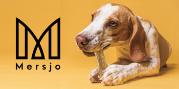 MERSJO pheasant function bone for dogs 13.5 cm - energy and digestion