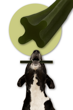 Mersjo Dental Sticks – Beef with Brown Algae and Green Tea Extract 28 pcs