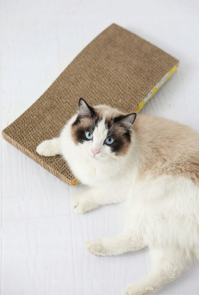Cat scratching post - horizontal