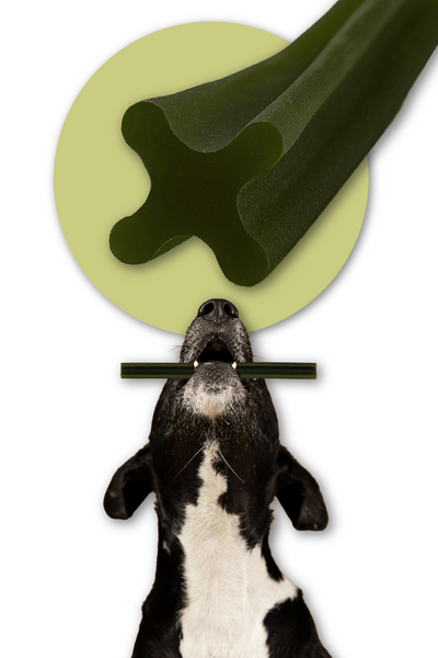 Mersjo Dental Sticks – Beef with Brown Algae and Green Tea Extract 28 pcs