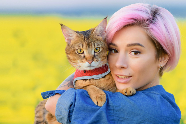 5x PH CONTROL disposable litter tray, bentonite cat litter with tray 5x2.7l + scoop