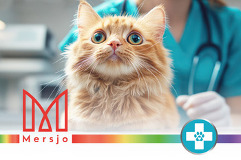 5x PH CONTROL disposable litter tray, bentonite cat litter with tray 5x2.7l + scoop