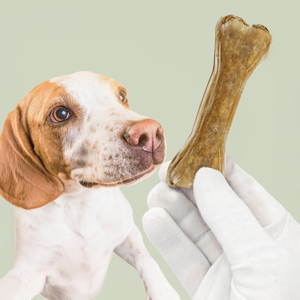 MERSJO pheasant function bone for dogs 13.5 cm - energy and digestion