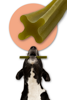 Mersjo Dental Sticks – Rabbit with Brown Algae, Cranberry, and Papaya