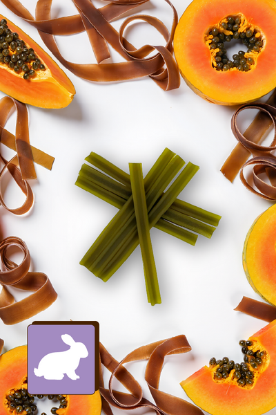 Mersjo Dental Sticks – Rabbit with Brown Algae, Cranberry, and Papaya