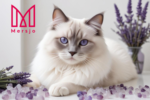 Żwirek silikonowy dla kota lawendowy Mersjo Lavender 5x3,8L