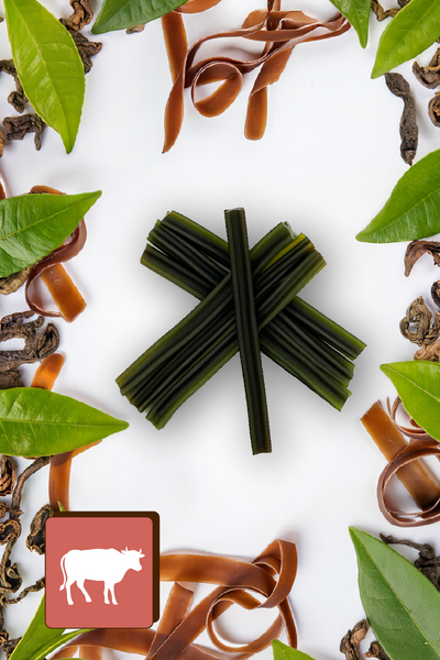Mersjo Dental Sticks – Beef with Brown Algae and Green Tea Extract 28 pcs