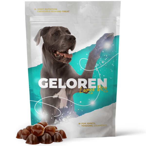 Geloren Large Dog 420g - Mieszanka uzupełniająca, żelki dla psów na stawy